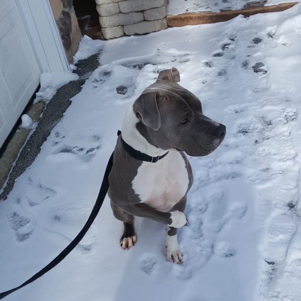 Meet your Posher, Danna